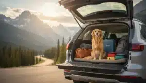 Cane felice in auto pronto per viaggiare con documenti e accessori da viaggio
